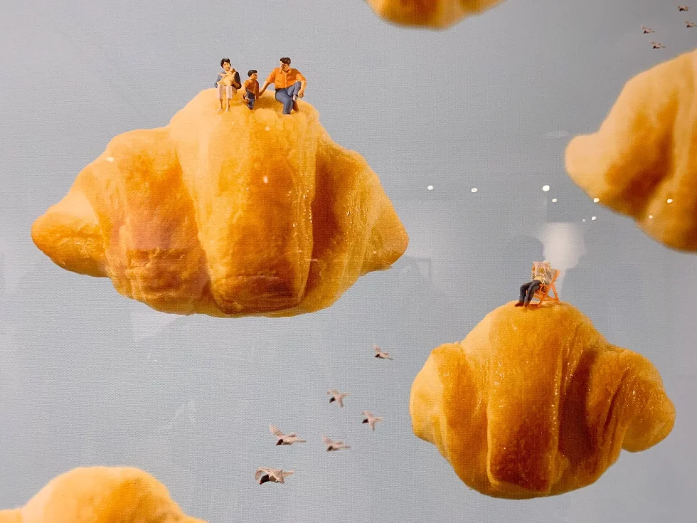 展示作品「クモワッサン」