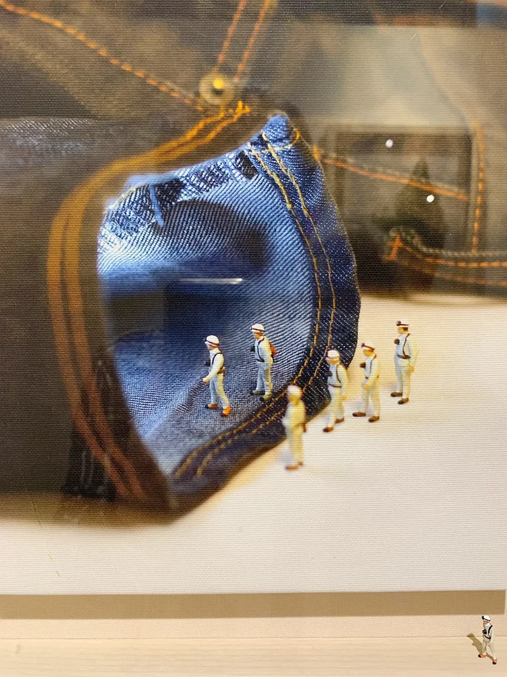 展示作品「インディジーンズ」